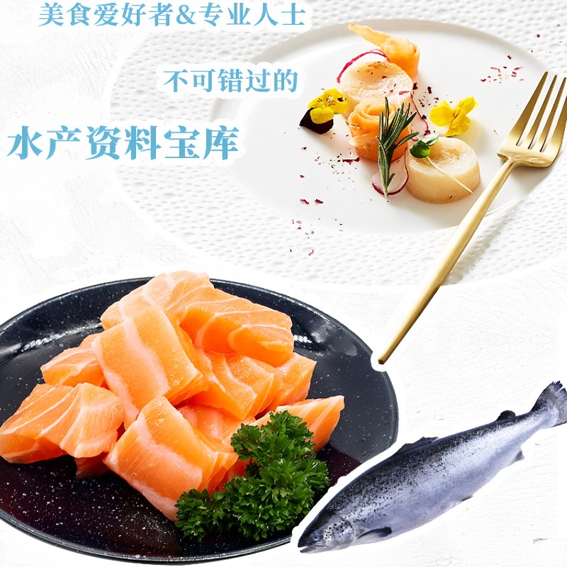 Seafood Cookbook DK 300 Classi - Home Cooking Recipes ulasan dan harga